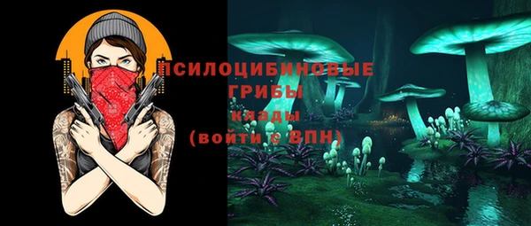 гашик Волоколамск