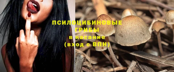 гашик Волоколамск
