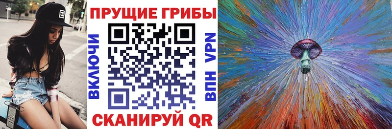 даркнет сайт  Карачаевск  Псилоцибиновые грибы Psilocybe 